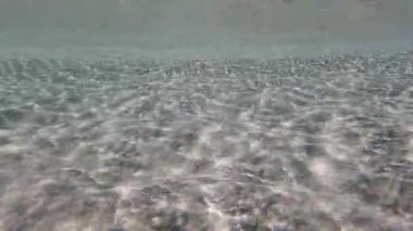clear sea surface and underwater view in summer season