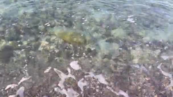 Letní Teplo Pláž Čisté Moře Pro Zázemí Letní Dovolenou — Stock video