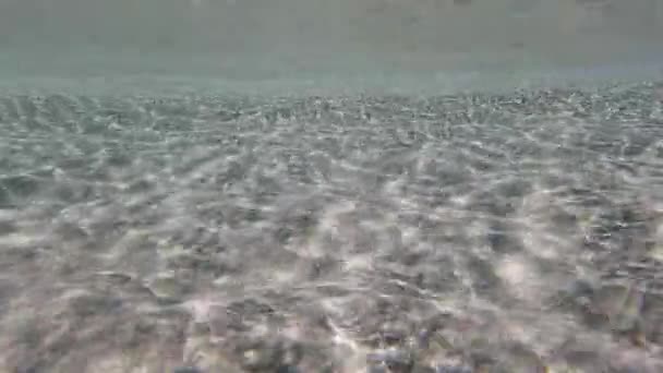 Clear Sea Surface Underwater View Summer Season — Stock video