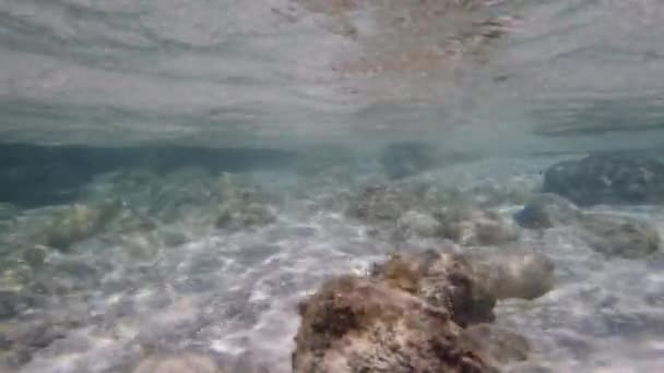 Clear Sea Surface Underwater View Summer Season — Stock video