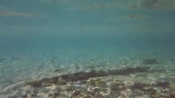 Clear Sea Surface Underwater View Summer Season — Wideo stockowe