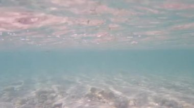clear sea surface and underwater view in summer season