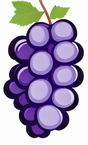 Close Bunch Grapes — Stock Vector