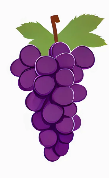Close Bunch Grapes — Stockový vektor