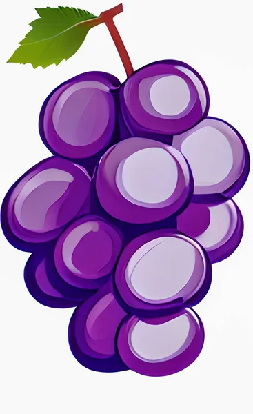 Close Bunch Grapes — Stock Vector