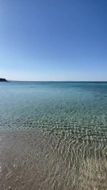 Summer Heat Beach Clear Sea Background Summer Vacation — Vídeo de stock