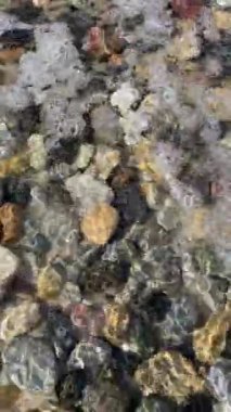  Summer time and pebbles on the beach