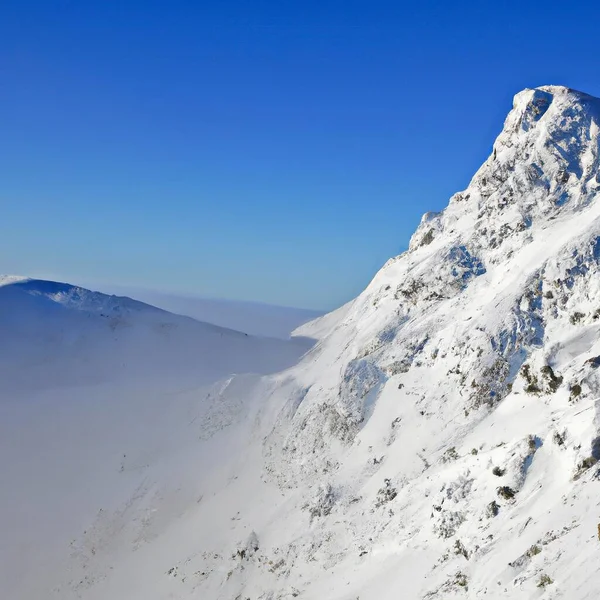 Neve Coberto Montanhas Paisagem — Vetor de Stock