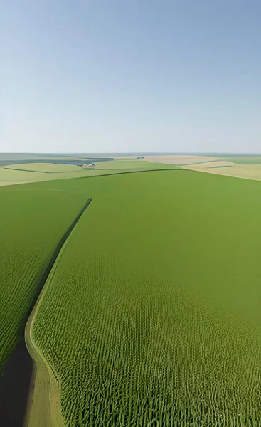 Zielone Pole Błękitnym Niebem Chmurami — Wektor stockowy