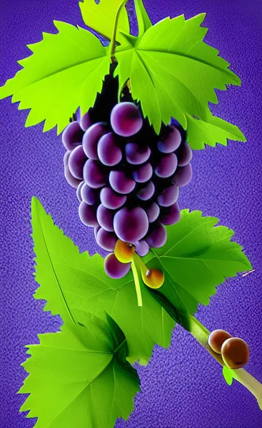 Grappe Raisins Aux Feuilles Vertes — Image vectorielle