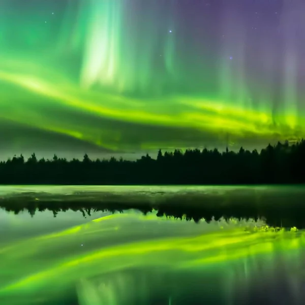 Northern Lights Forest Lake Reflection — Stockvektor