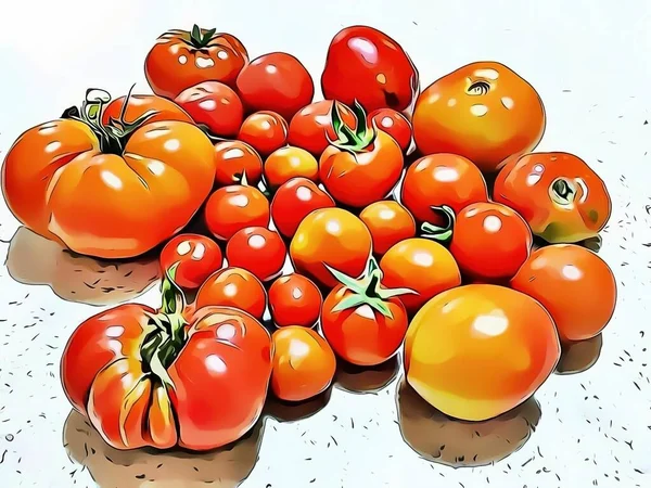 Close Besar Dan Kecil Tomat Dengan Efek Kartun — Stok Foto