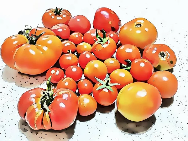 close-up large and small tomatoes with cartoon effect.