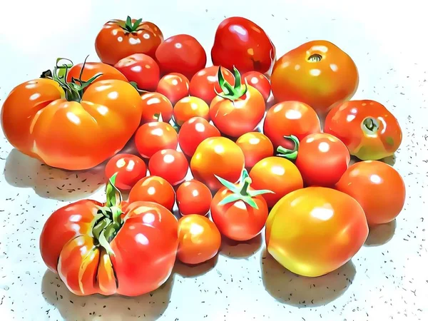 close-up large and small tomatoes with cartoon effect.