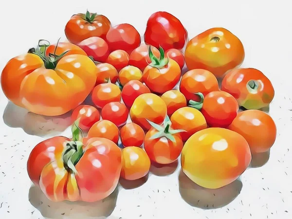 close-up large and small tomatoes with cartoon effect.