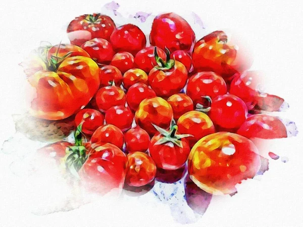 close-up large and small tomatoes with cartoon effect.