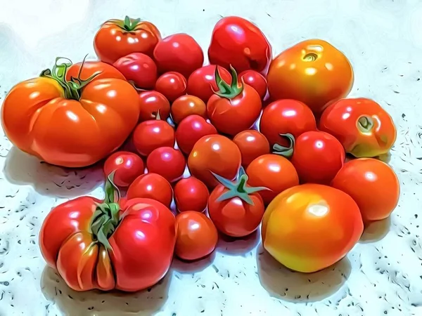 Zbliżenie Duże Małe Pomidory Efektem Kreskówki — Zdjęcie stockowe