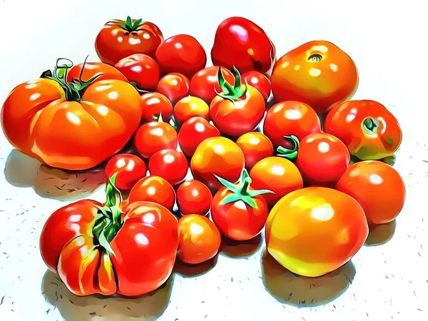 close-up large and small tomatoes with cartoon effect.