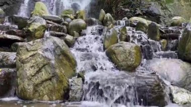 Parktaki şelale ve doğa