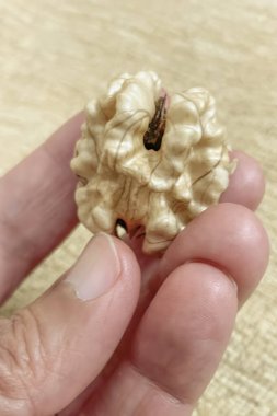 Kabuksuz ceviz yemeye hazır olun.