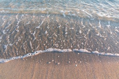 Deniz kıyısı, sahil ve dalgalar çarpıyor.