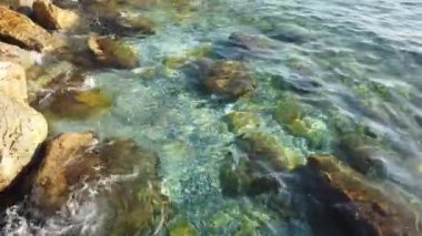 Deniz kıyısı, sahil ve dalgalar çarpıyor.