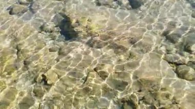 Deniz kıyısı, sahil ve dalgalar çarpıyor.