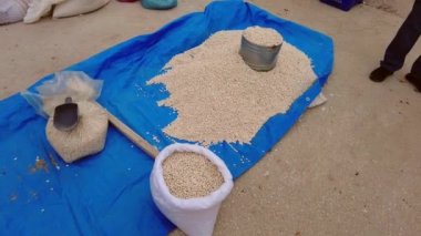 Satıcıda kurutulmuş fasulye, mevsiminde kurutulmuş fasulye.,