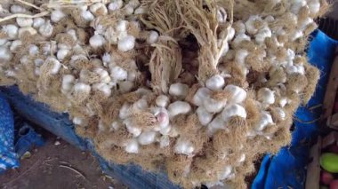 Kamu pazarında satılık kuru sarımsak, satılık büyük miktarlarda sarımsak.,