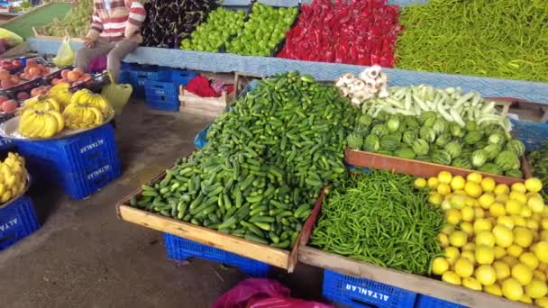 Minuscules Cornichons Pour Faire Des Cornichons Alignés Sur Comptoir Marché — Video