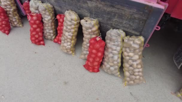 Patatas Para Venta Vendedor Ambulante Mercado Público Cebollas Una Red — Vídeos de Stock