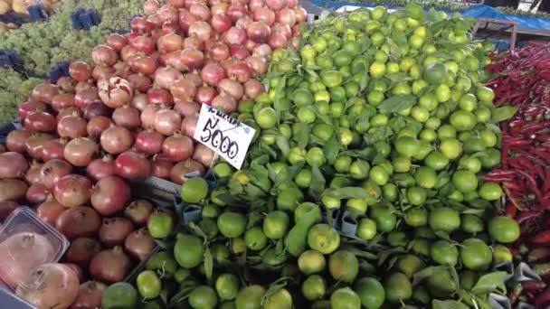 在公众街市的柜台上摆放有价签的蔬果 — 图库视频影像