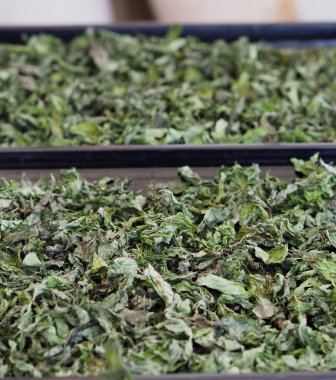 aromatik kurutulmuş nane, kurutulmuş nane, doğal nane,