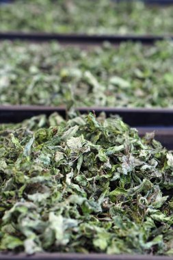 aromatik kurutulmuş nane, kurutulmuş nane, doğal nane,
