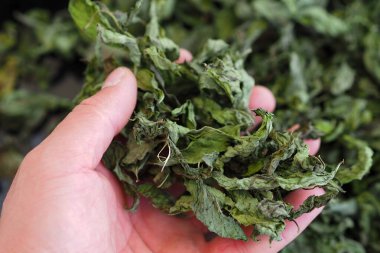 aromatik kurutulmuş nane, kurutulmuş nane, doğal nane,