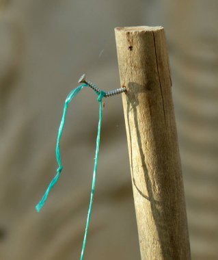 Çivi ve ince iplik yakın çekim, ahşap kazığa çakılmış.
