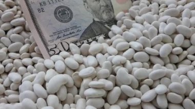 Beyaz fasulyelerin üzerinde duran 50 dolarlık yakın plan.,