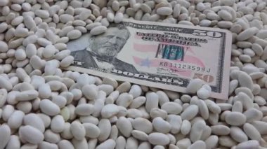 Beyaz fasulyelerin üzerinde duran 50 dolarlık yakın plan.,