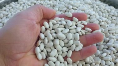 Bir avuç kuru fasulye, fasulyeleri kavrayan bir el, büyük miktarda kuru fasulye.,