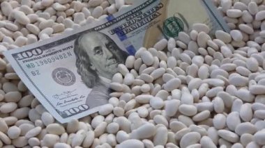 Beyaz fasulye ve 100 dolarlık banknot, dünya beyaz fasulye fiyatları.,