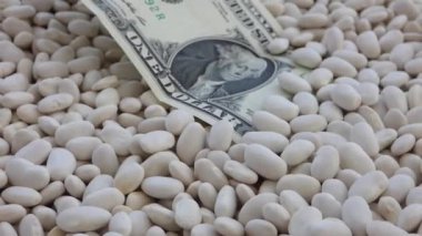 yakın plan beyaz fasulye ve 1 dolar, dünya beyaz fasulye fiyatları,