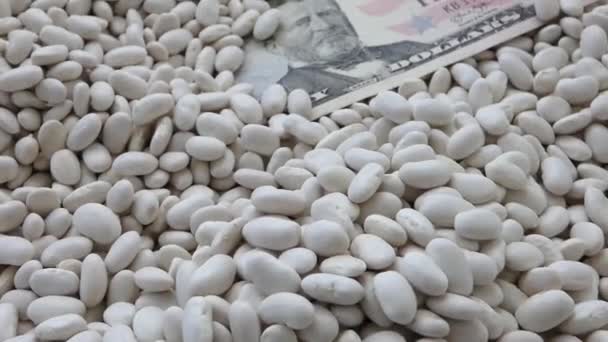 Close Dari Dolar Berdiri Atas Kacang Putih — Stok Video