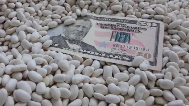 Zblízka Dolarů Stojící Bílých Fazolích — Stock video