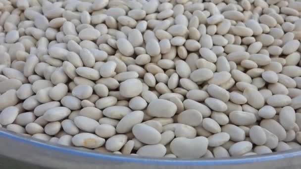 乾燥豆のボウル 大量の食用豆のクローズアップは — ストック動画