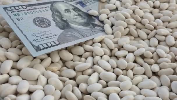 特写白豆和100美元钞票 世界白豆价格 — 图库视频影像