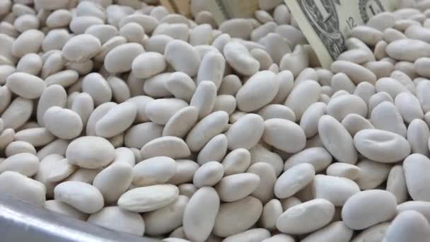 乾燥豆のボウルと1ドル札 — ストック動画