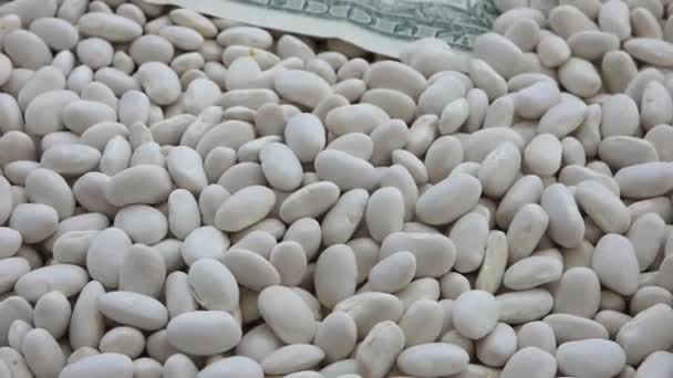 近くの白豆と10ドル札世界の白豆の価格 — ストック動画
