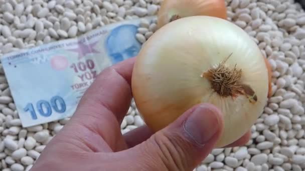Close White Bean 100 Turkish Lira World White Bean Prices — Stock Video
