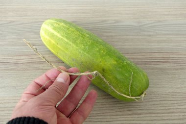 Tohum ve salatalık tohumu almak için ayrılan büyük salatalık.,