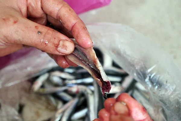 Třídění Ryb Domácnosti Čištění Ryb Před Vařením Žena Oddělující Rybí — Stock fotografie
